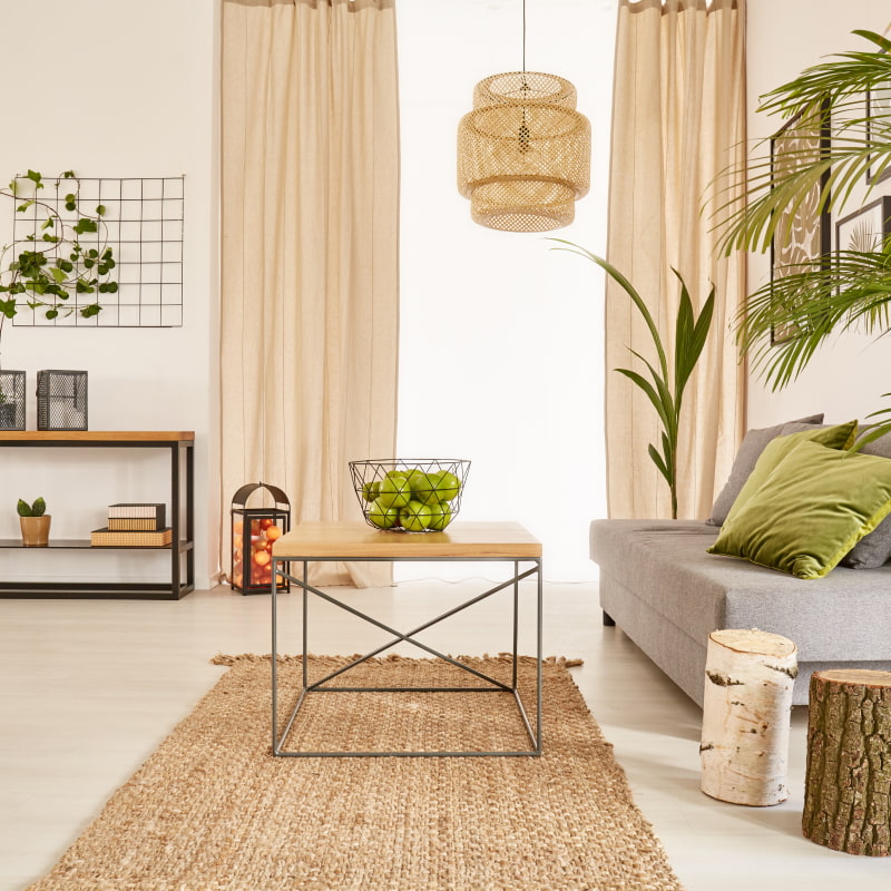 professional house and apartment cleaning services in san diego